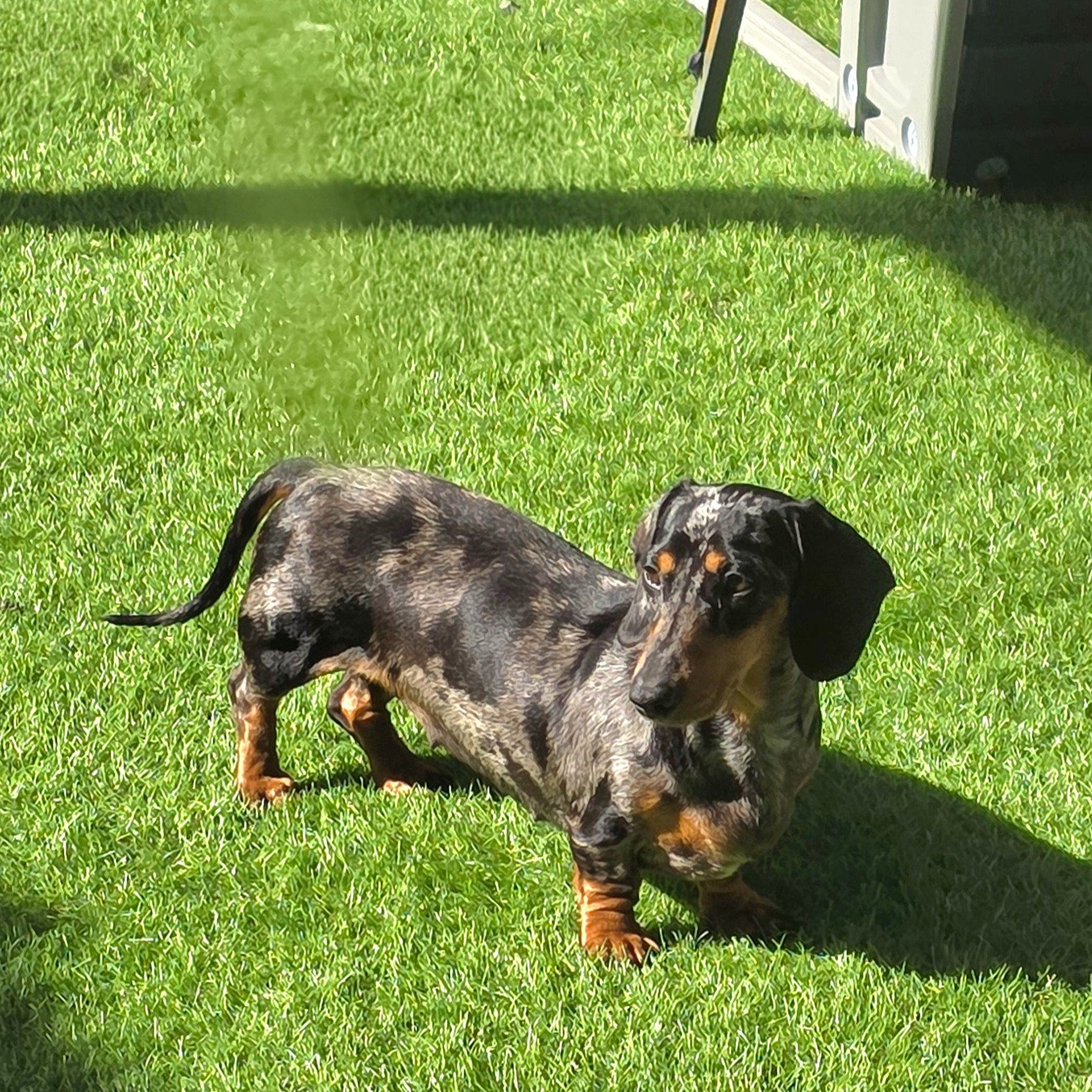 Victory De Cassebertats